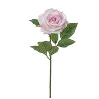 Rose 60 cm