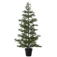 Imperial Pine 140 cm