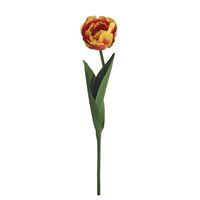 Papegøje tulipan, orange 58cm