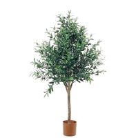 Oliventræ 140cm