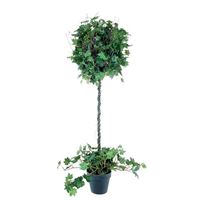 Hedera træ 85cm